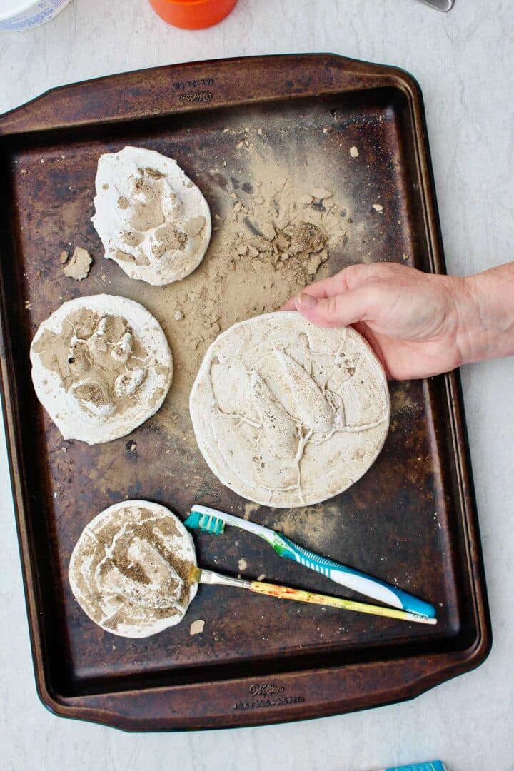 Learn How to Make Plaster Casts of Animal Tracks To Nana's