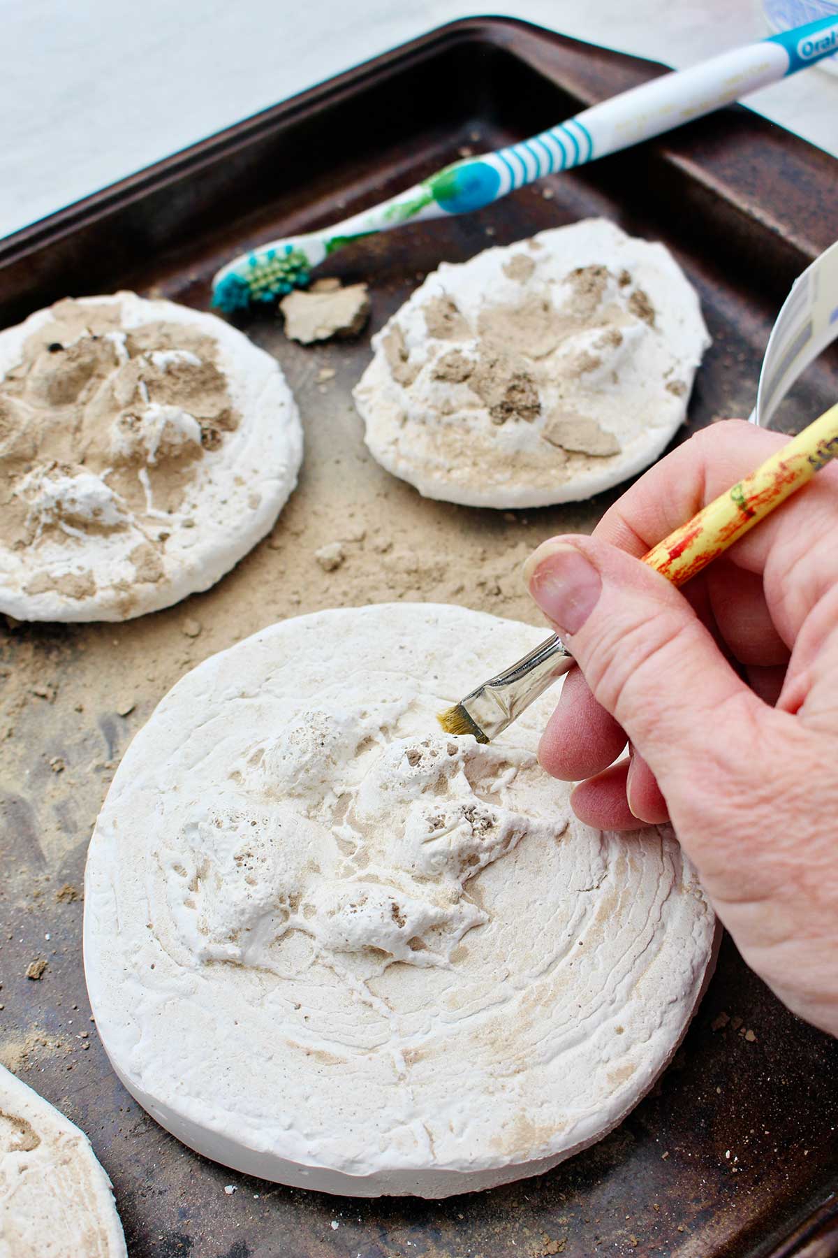 Person brushing off dirt on dried animal track print.