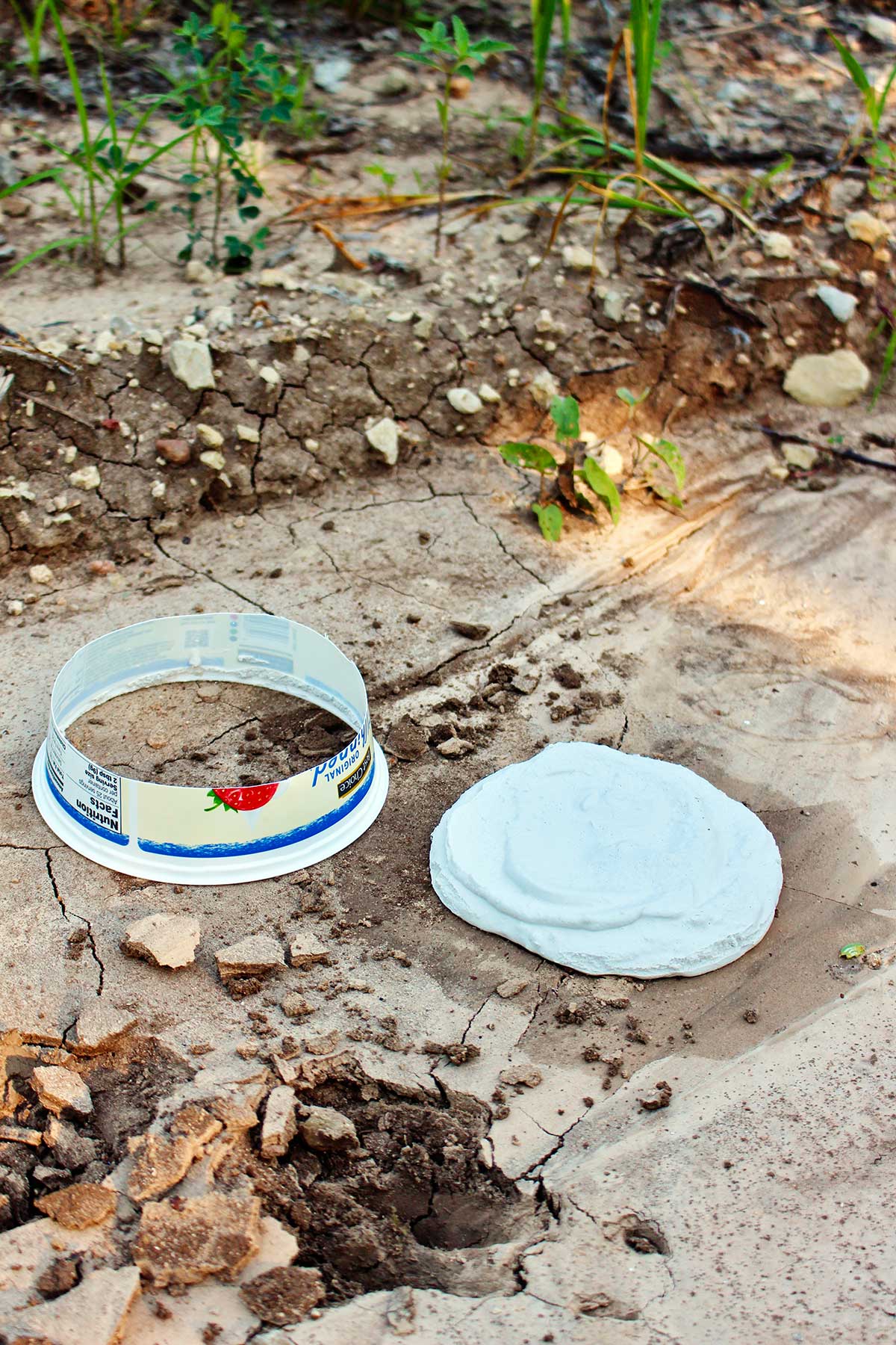 Drying plaster of Paris on an animal print outside.