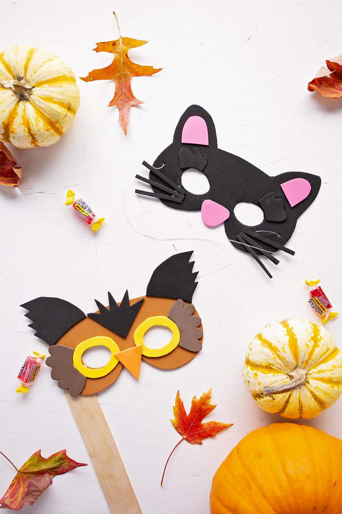 Craft foam owl and cat masks surrounded by fall leaves, pumpkins, and candy.