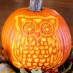 A woodland owl carved pumpkin sitting with some fall leaves on a table