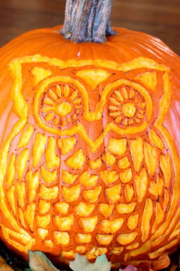 A woodland owl carved pumpkin sitting with some fall leaves on a table