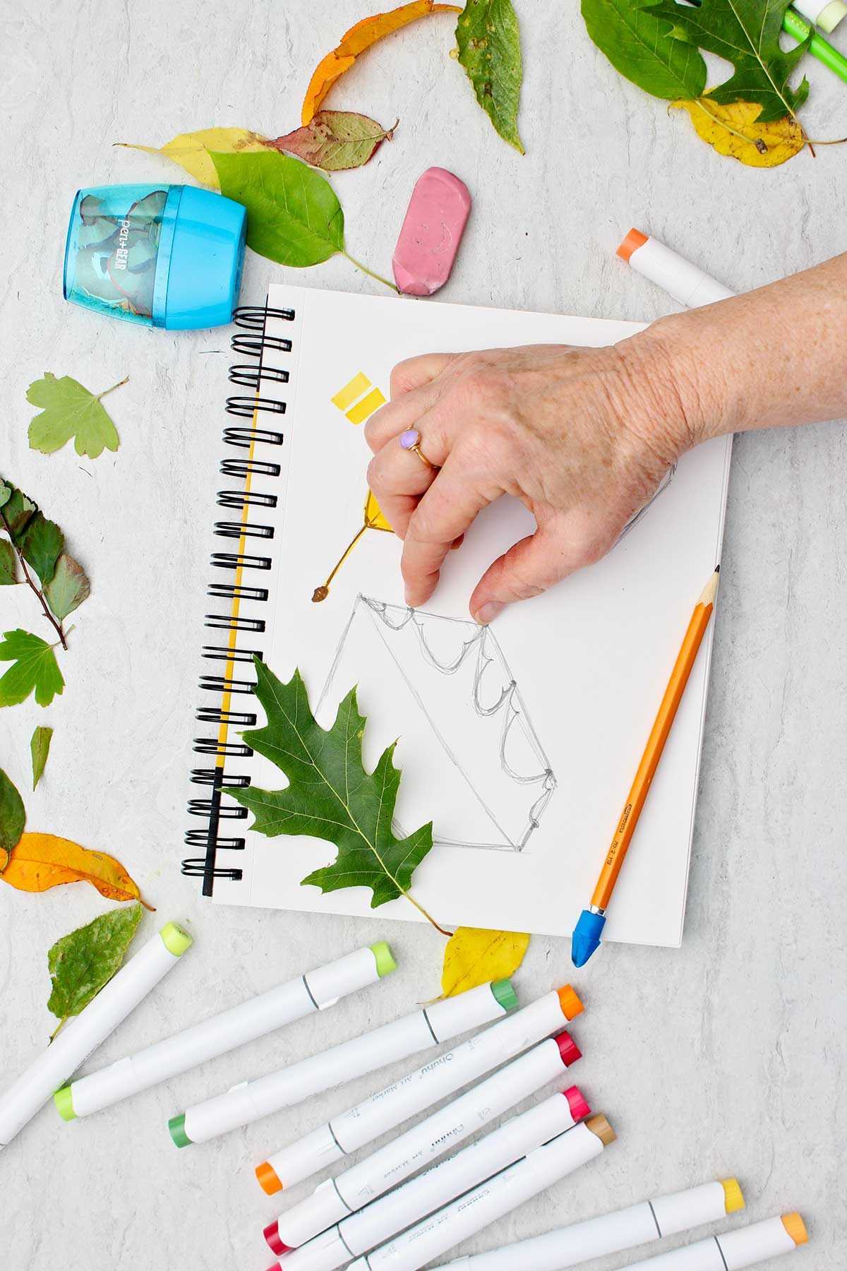 Person measuring the distance between two leaf points with fingers on an oak leaf sketch with makers and other leaves scattered around.