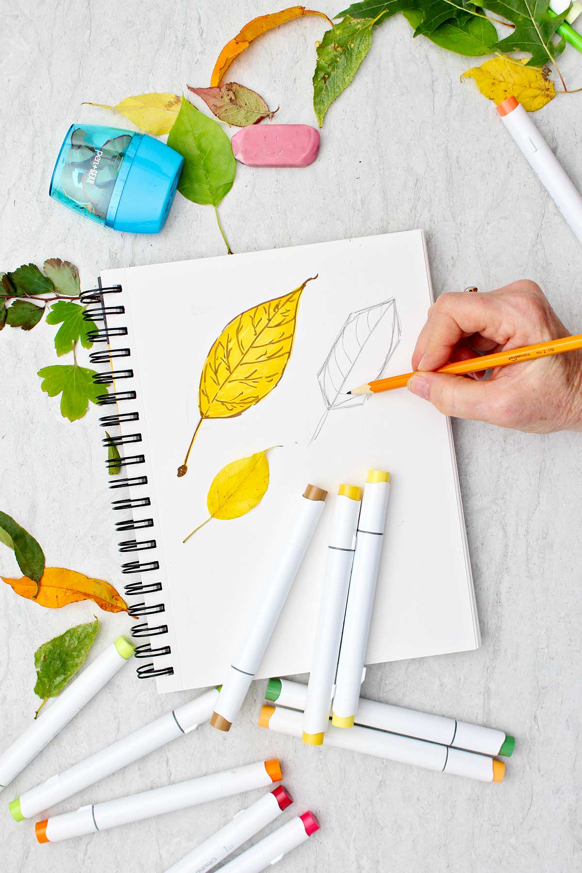 A person sketching the veins of a yellow aspen leaf in a sketch pad with makers and other leaves scattered around.