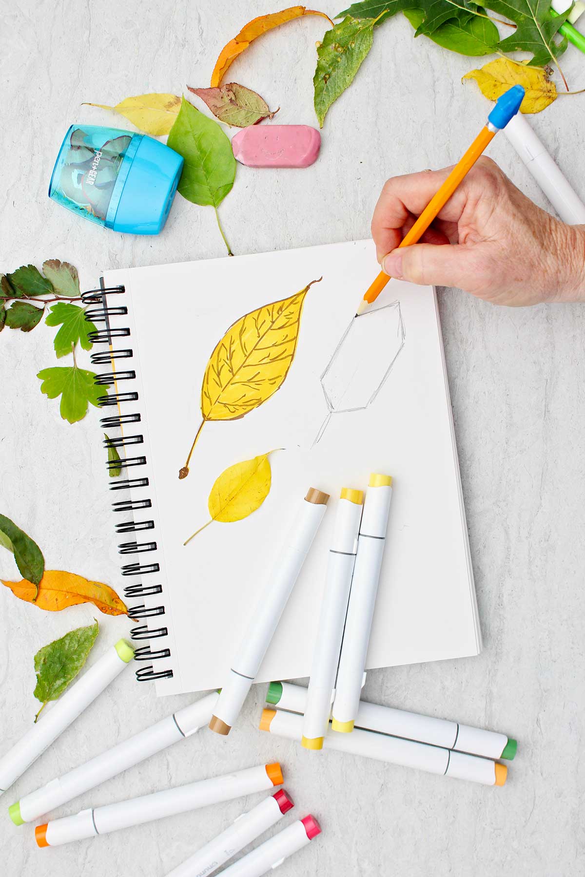 A person sketching the straight line outline of a yellow aspen leaf in a sketch pad with makers and other leaves scattered around.