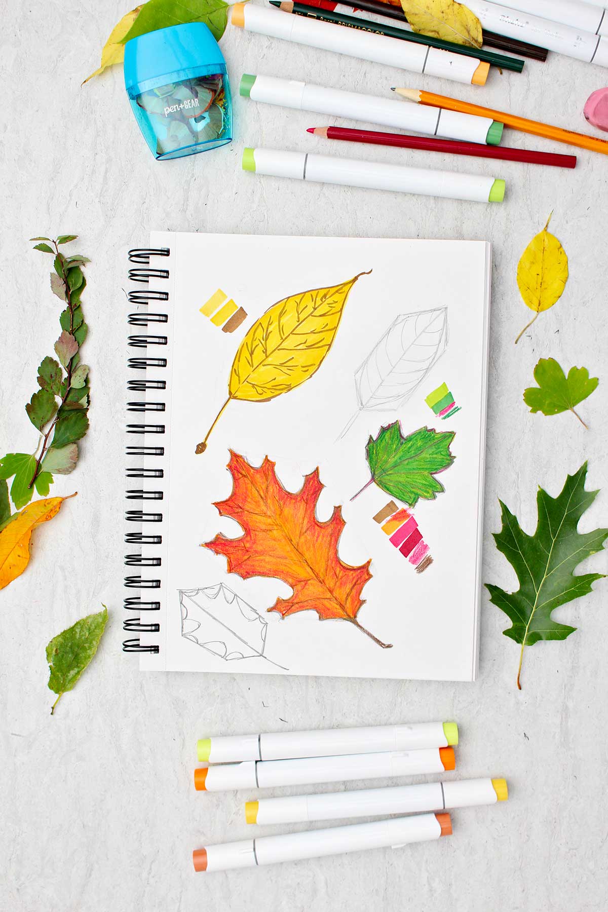 A page in a sketchbook of colored in leaves and pencil drawings of leaves with makers and other leaves scattered around.