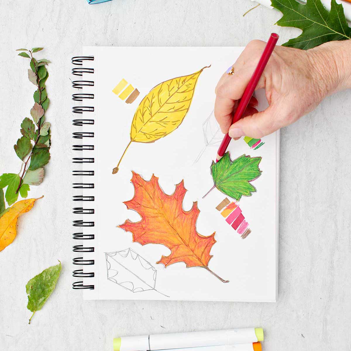 Person using a red colored pencil to shade the outside of a green leaf sketch on a sketchbook page of other colorful leaf drawings.