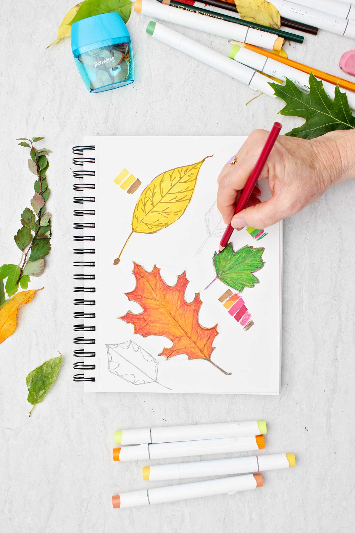 Person using a red colored pencil to shade the outside of a green leaf sketch on a sketchbook page of other colorful leaf drawings.