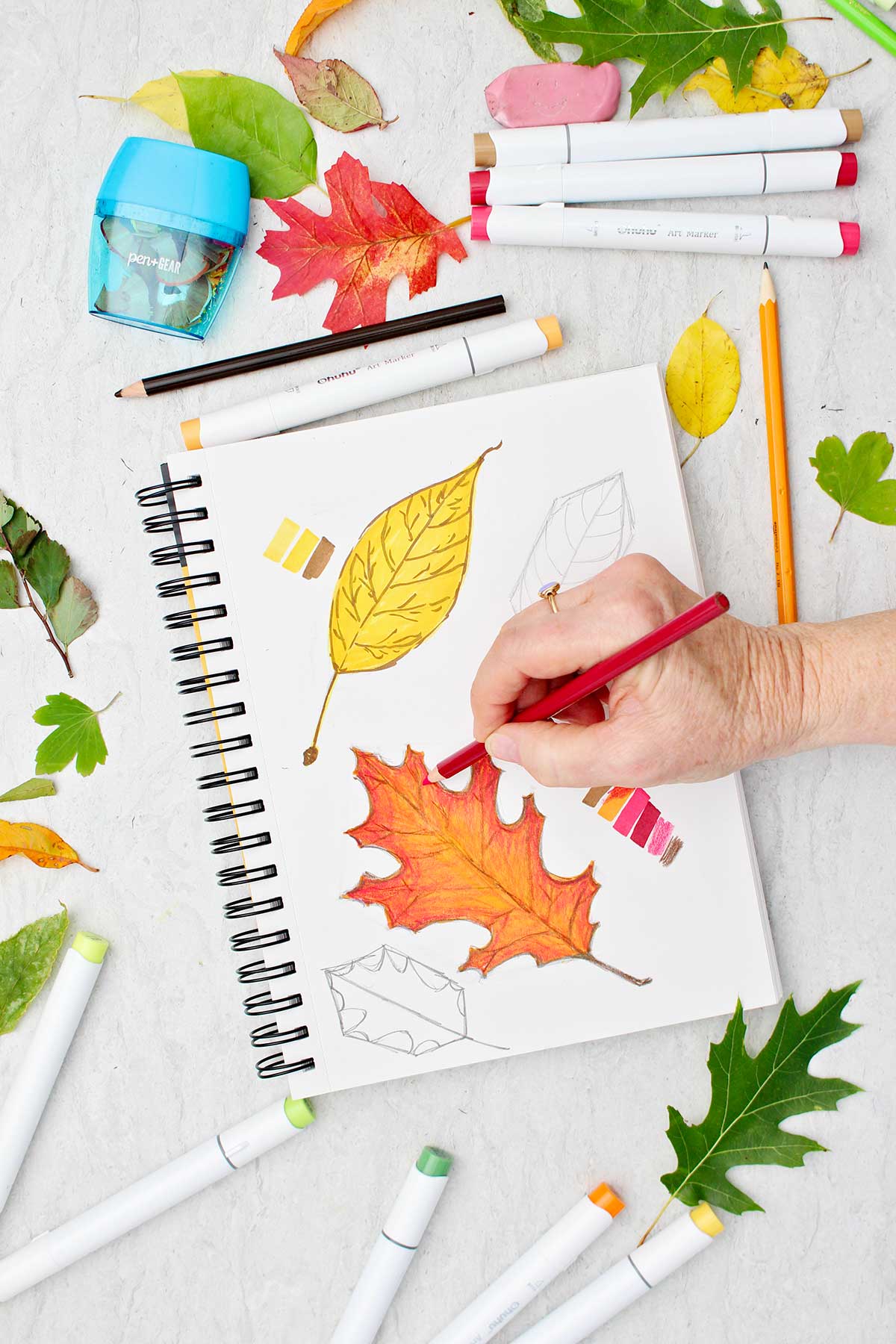 Person shading in orange oak leaf sketch with red colored pencil with makers and other leaves scattered around.