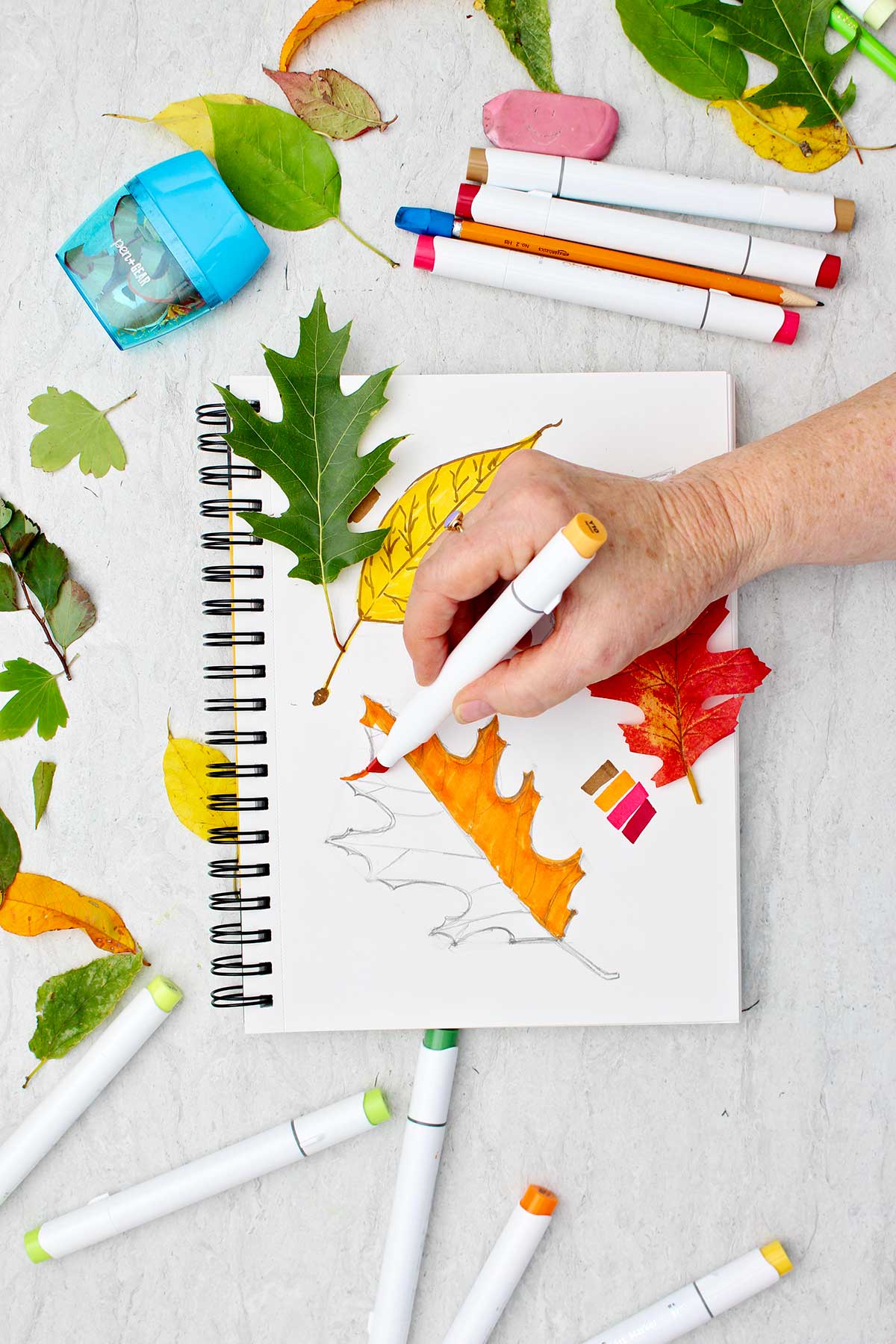 Person coloring in sketch of oak leaf with an orange marker with makers and other leaves scattered around.