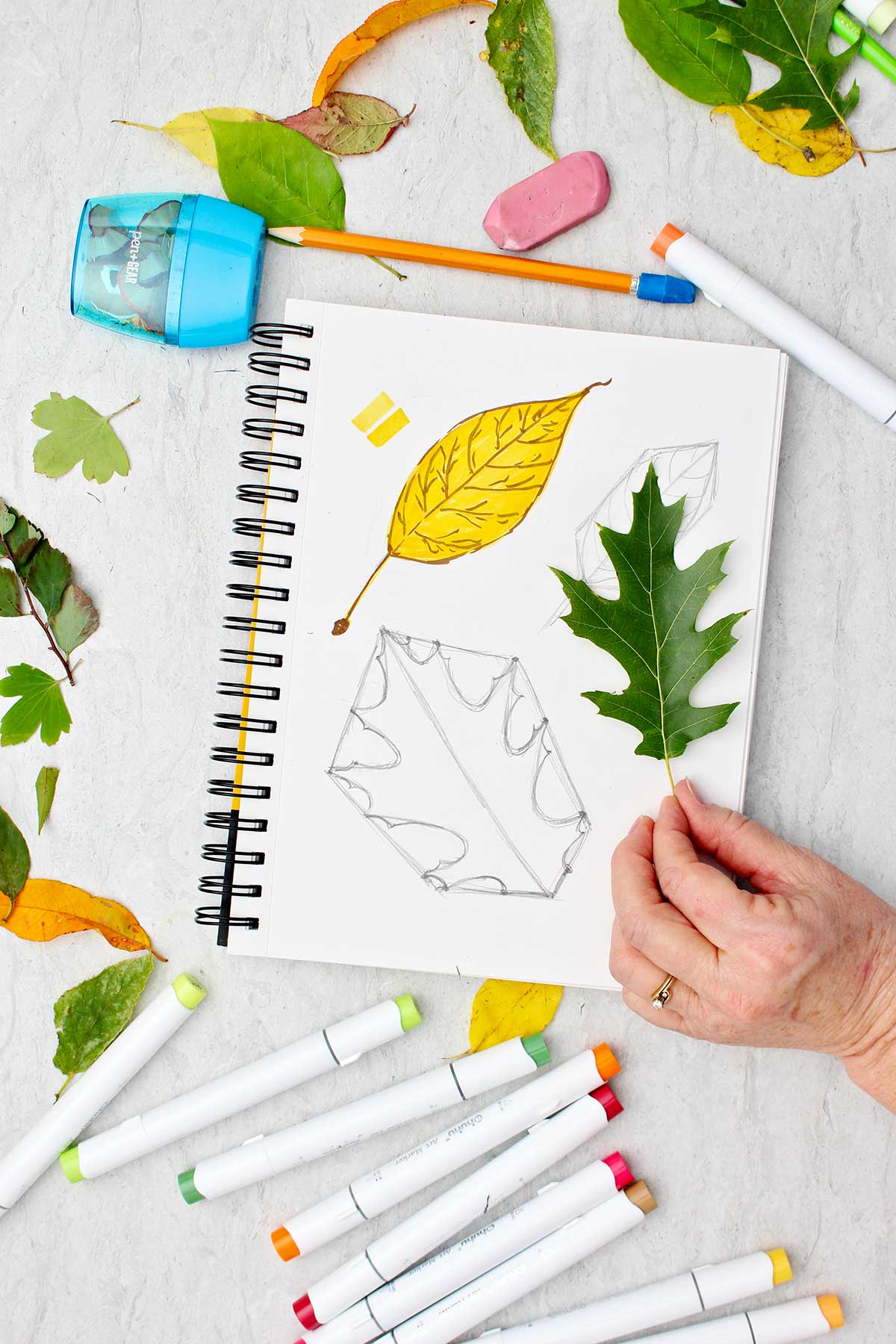 Person holding an oak leaf next to a sketch of an oak leaf with makers and other leaves scattered around.