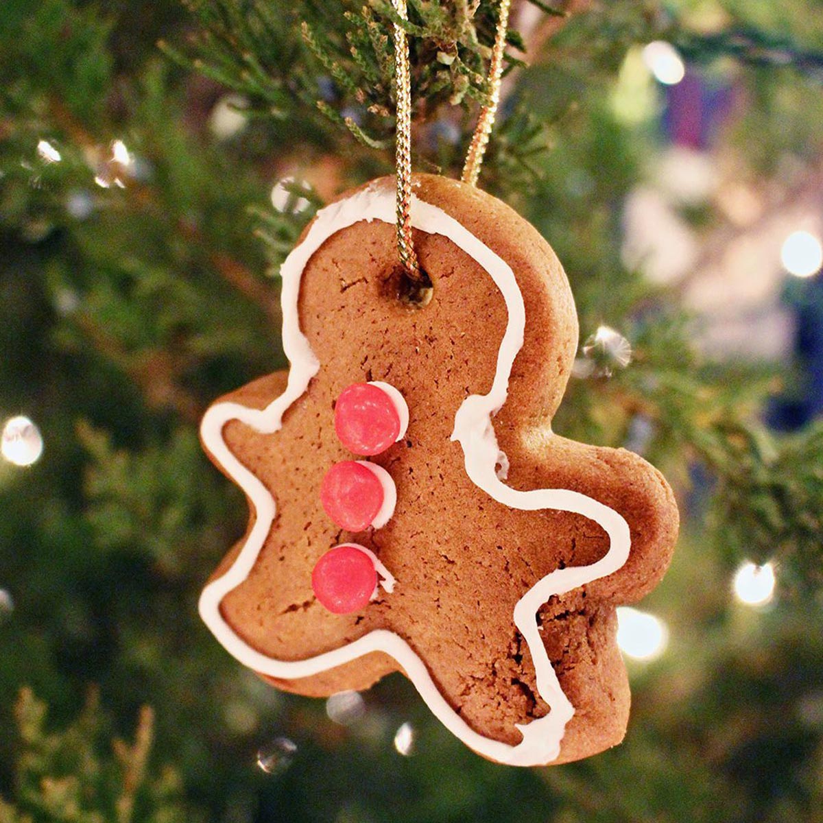 A gingerbread ornament decorated with red hots and white icing, hanging on the branch of a Christmas tree.