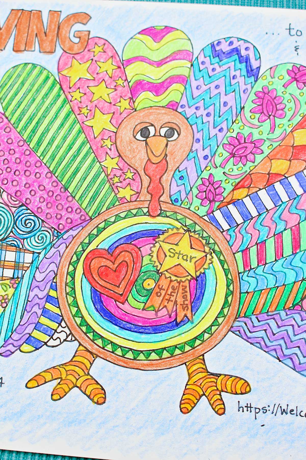 Close up details of colored in turkey on coloring page.