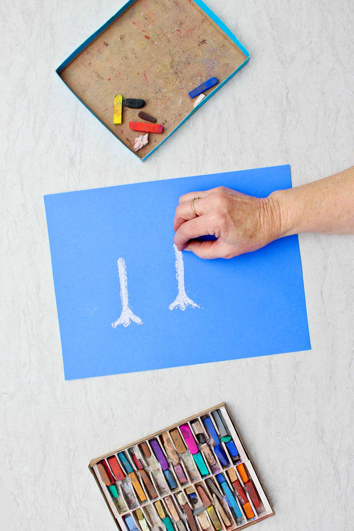 Person drawing the trunk of a white tree with pastel chalk on a blue piece of paper with a box of pastels near by.