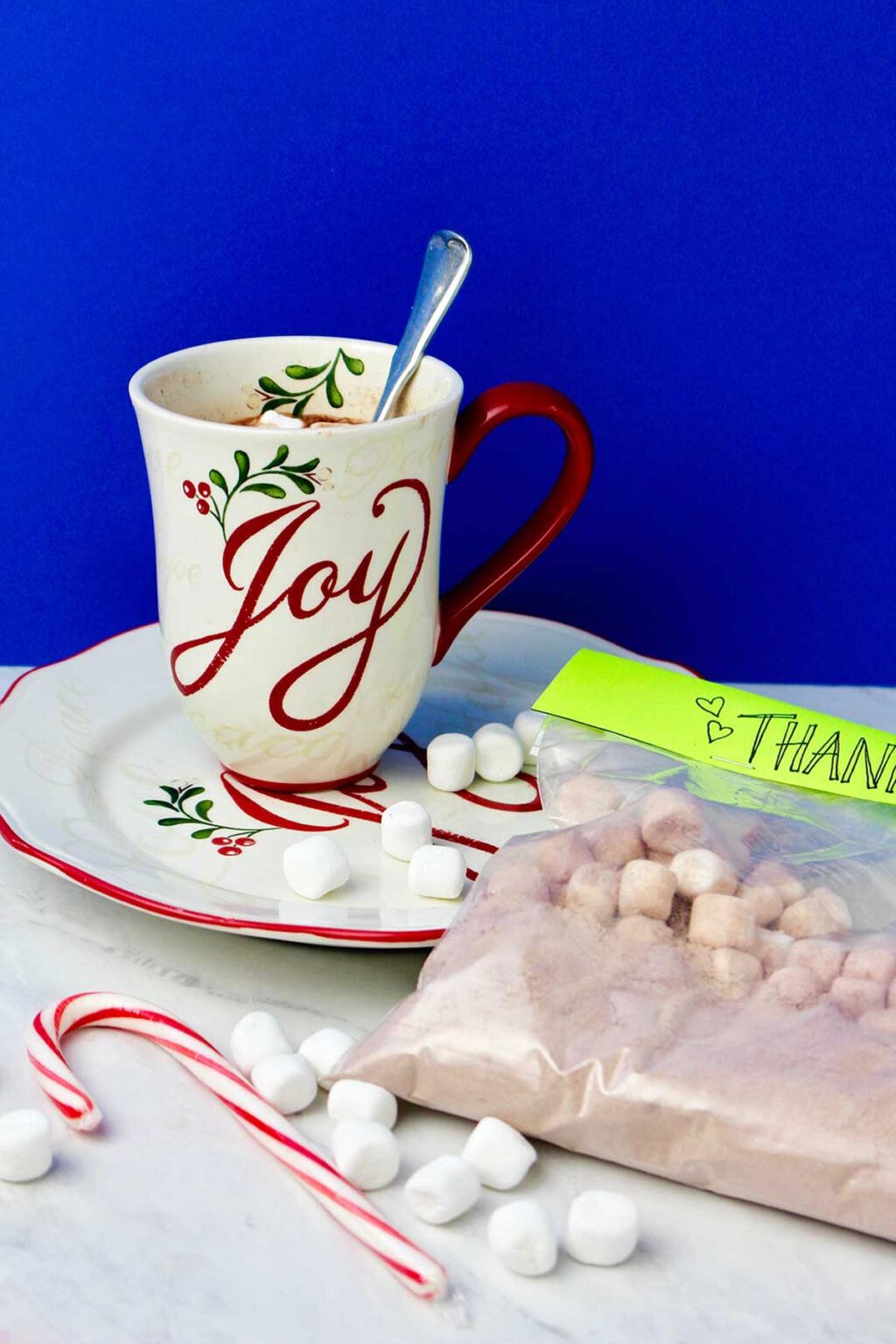 Homemade Hot Chocolate Mix Easy Gift Idea | Welcome To Nana's