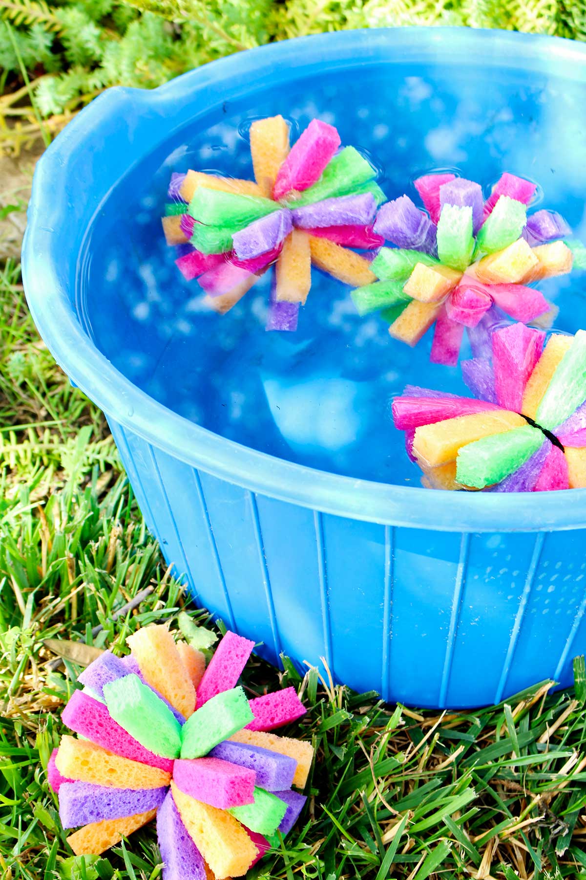 Three multi colored sponge bombs in a blue bucket full of water and one bomb on the grass outside.