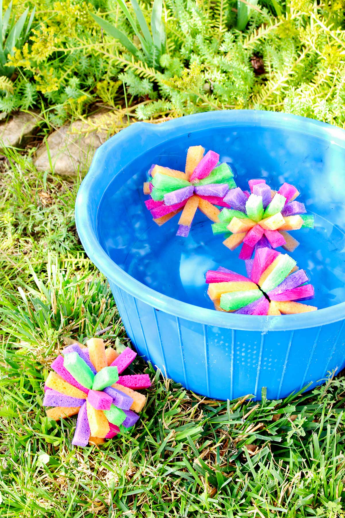 Three multi colored sponge bombs in a blue bucket full of water and one bomb on the grass outside.