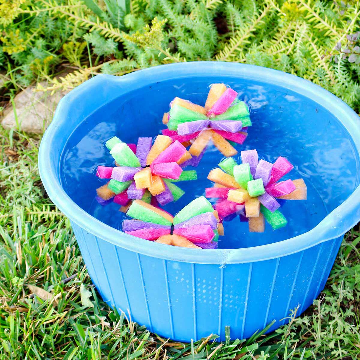 Four multi colored sponge bombs in a blue bucket full of water outside.