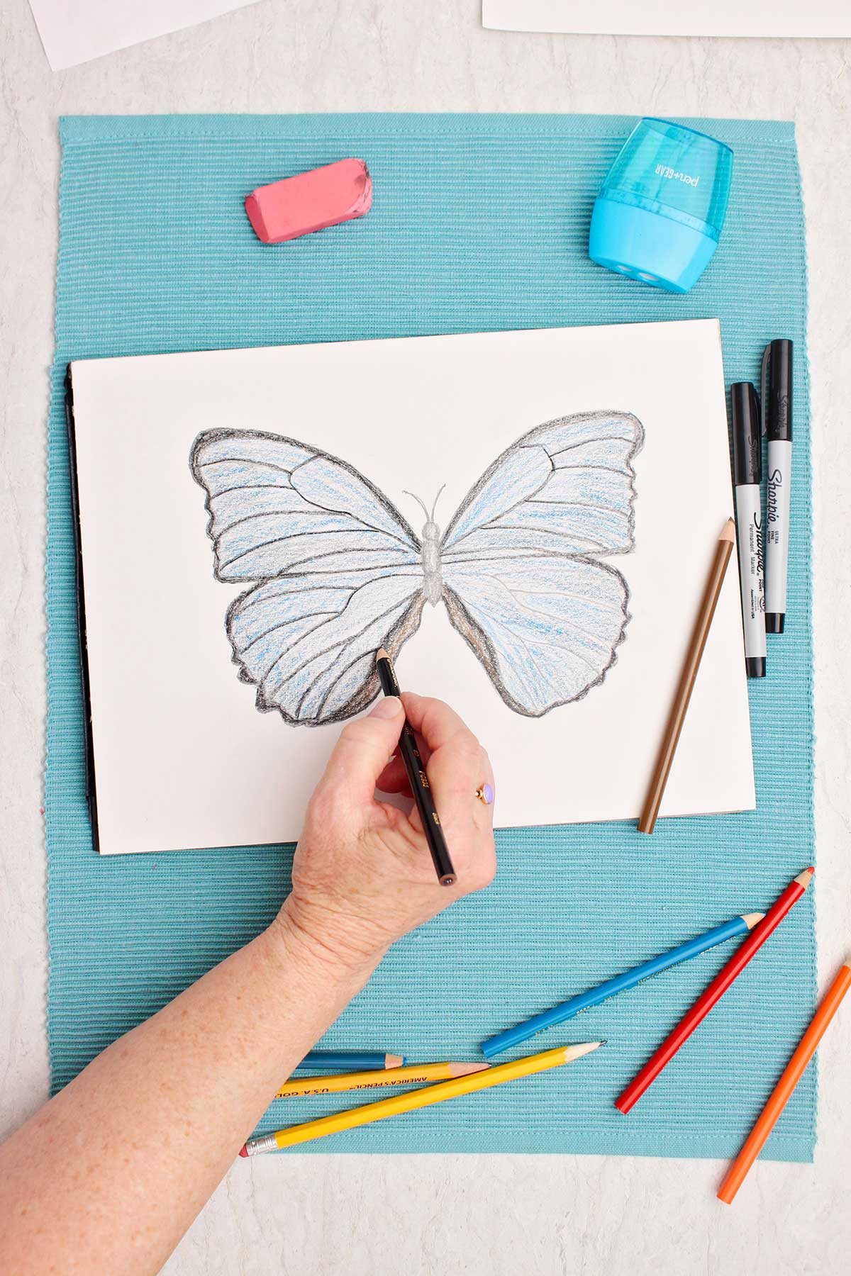 Person shading in black details on blue butterfly drawing.