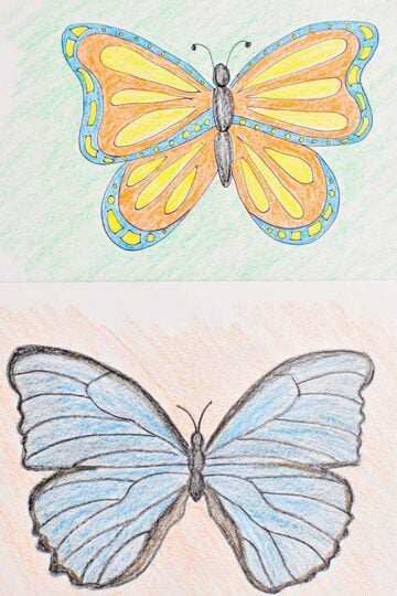 Blue and black colored butterfly drawing and orange, yellow and blue colored butterfly on blue placemat.