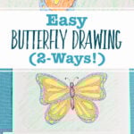 Completed drawings of butterflies colored in with colored pencil.