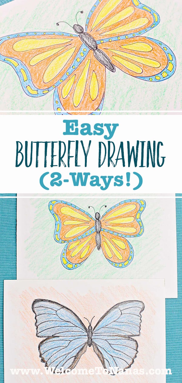 Completed drawings of butterflies colored in with colored pencil.