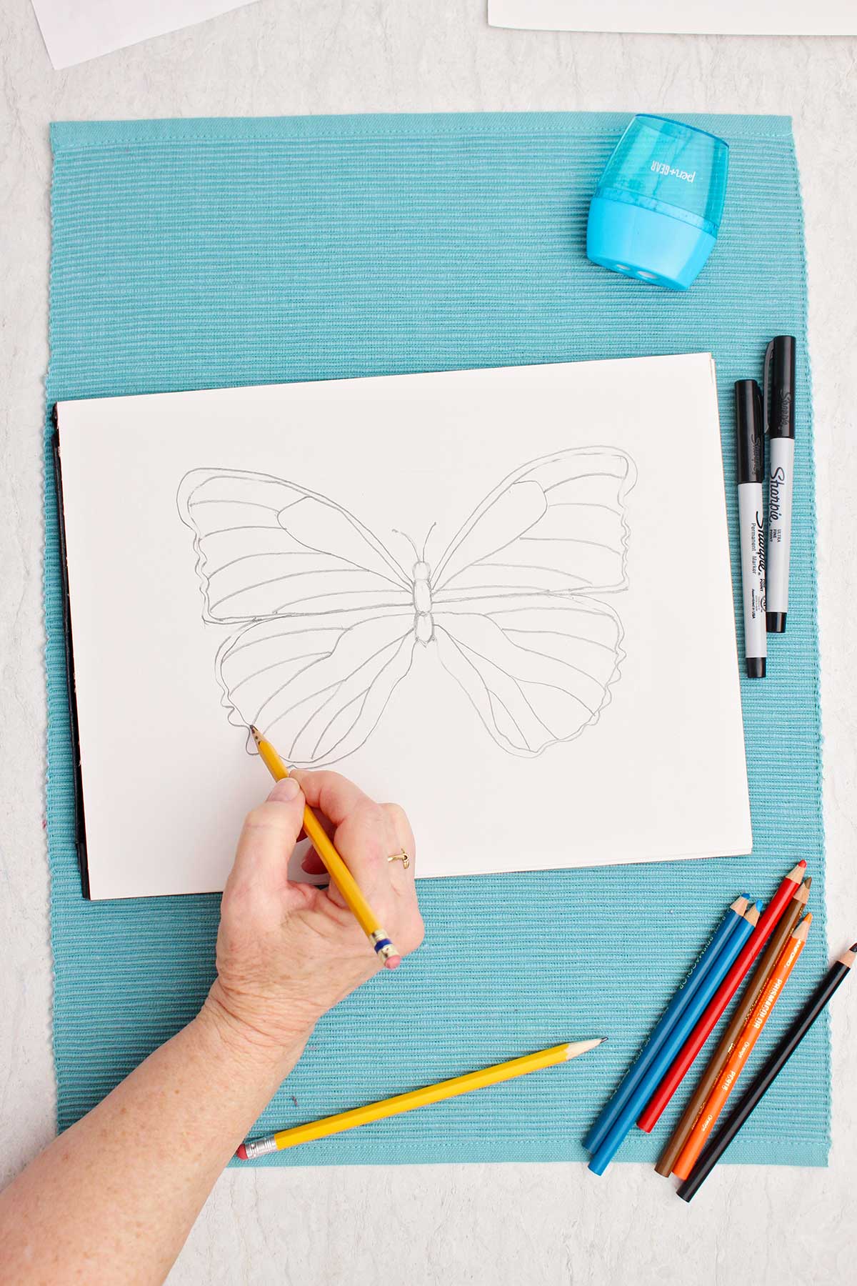 Person making detail lines on outer wings of butterfly drawing.