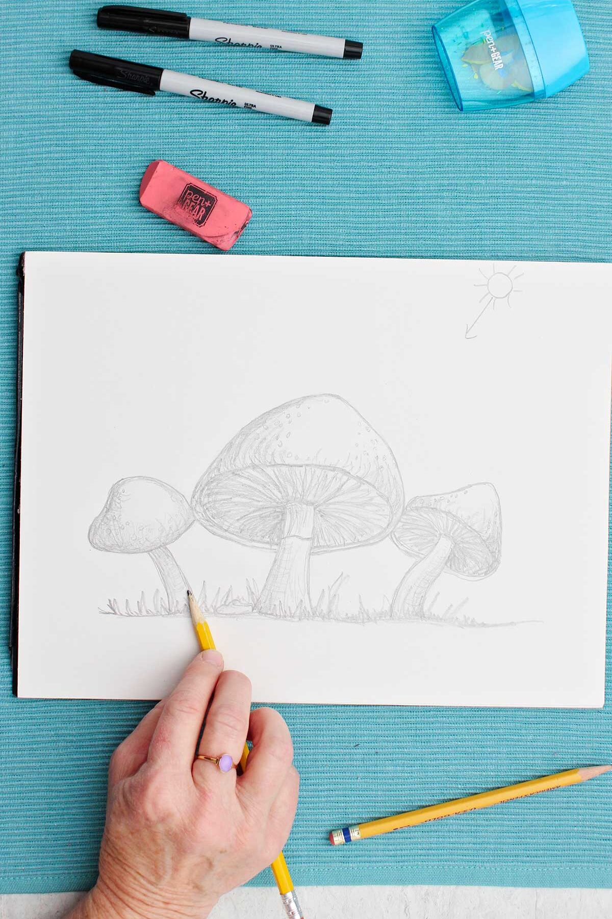 A pencil drawing of mushrooms