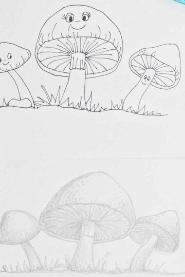 A mushroom drawing in two different styles with pencils and pens