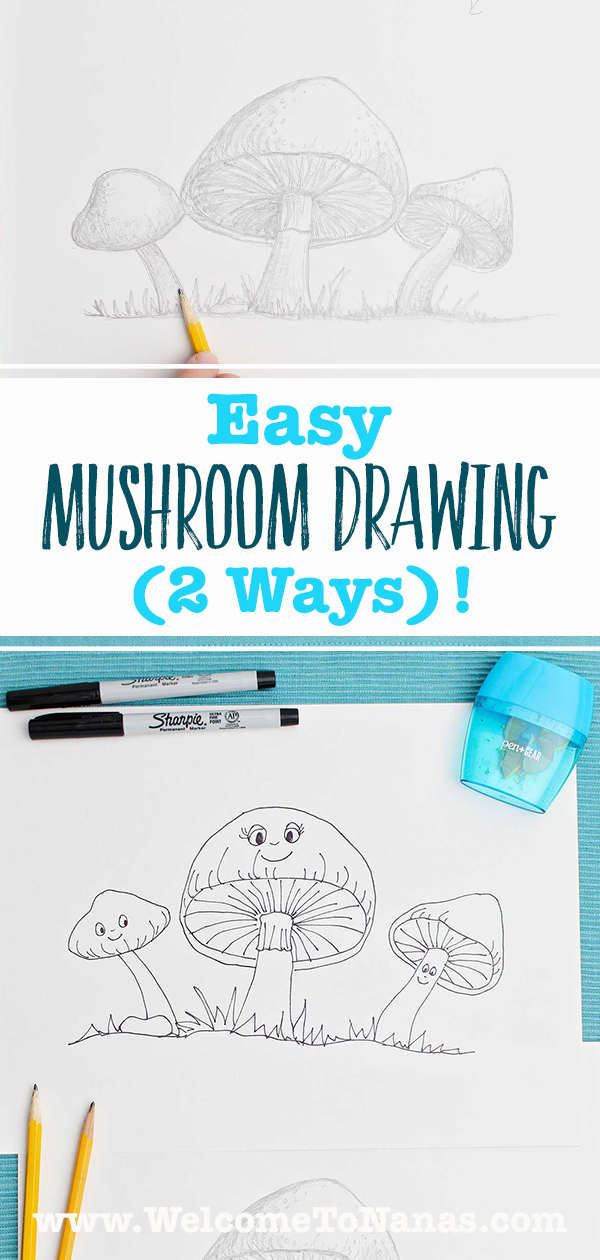 A mushroom drawing in two different styles with pencils and pens