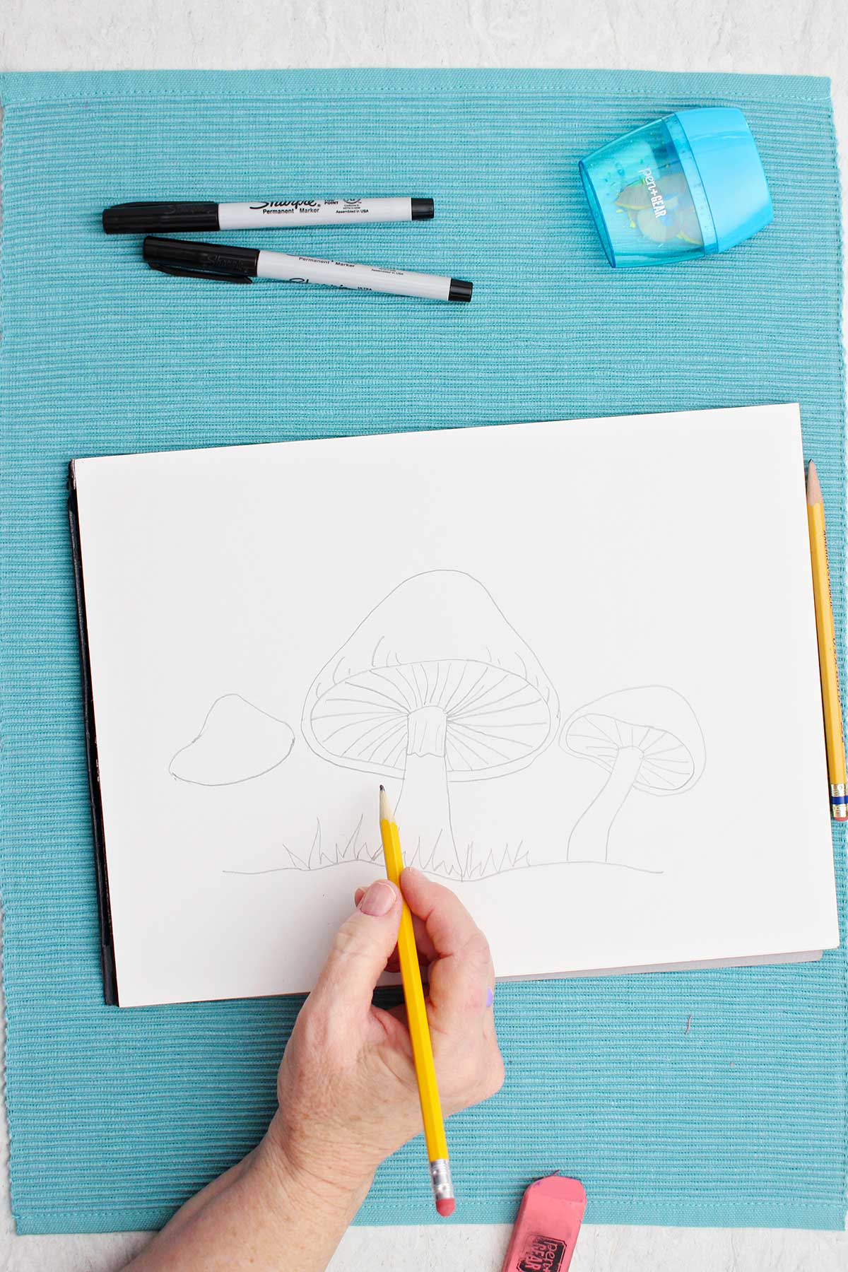 An artist sketching a drawing of a mushroom with a pencil