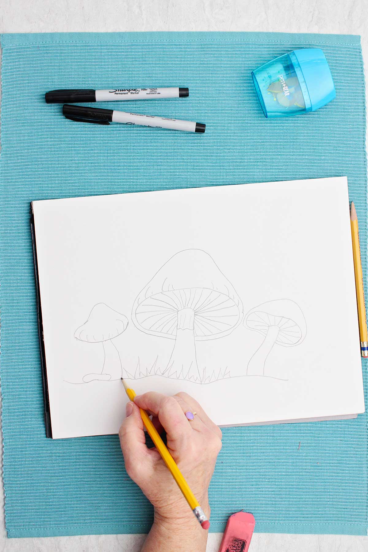 A pencil drawing of a mushroom