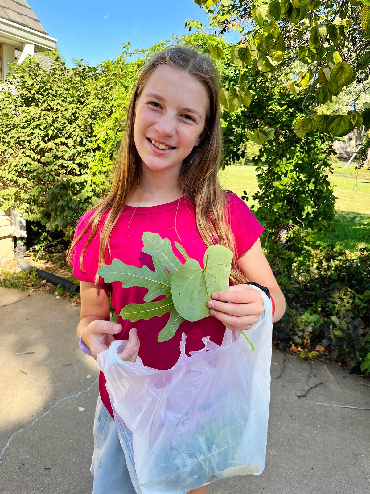 A young girl with brown hair and a pink shirts collects fresh leaves in a shopping bag outside.