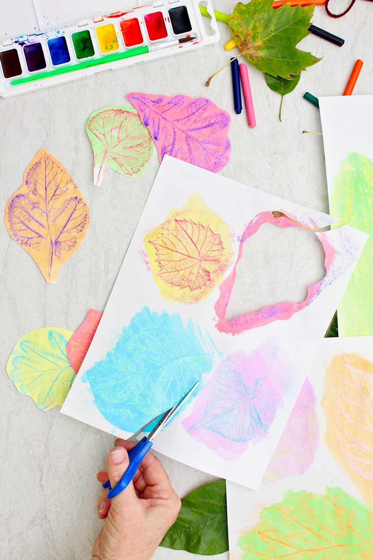 A person cutting out leaf rubbings with scissors with other leaves and leaf rubbings near by.