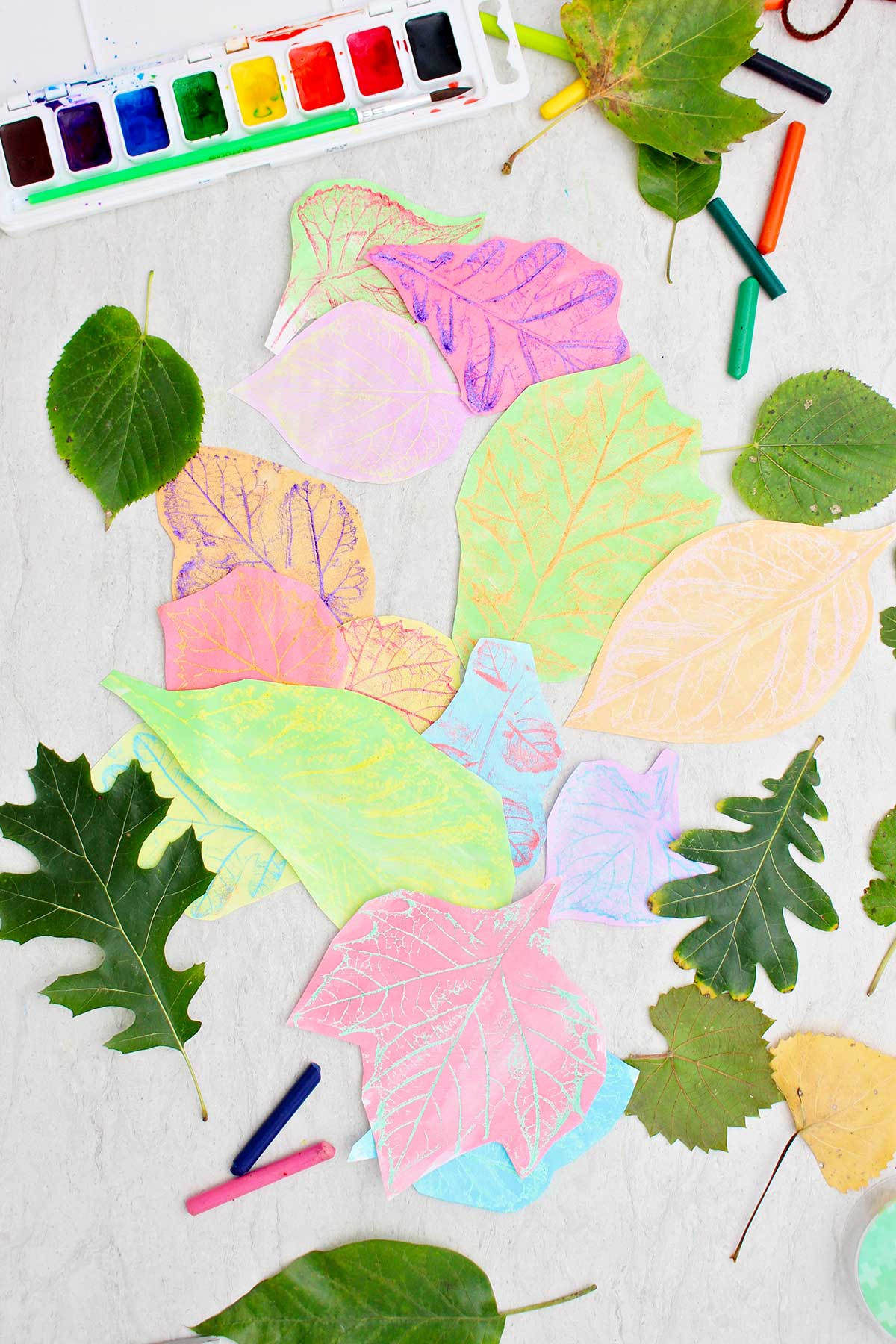 A pile of different fresh leaves and colorful leaf rubbings with watercolors near by.