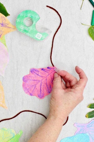 A person securing a red and purple leaf rubbing on a piece of yarn with tape with other leaf rubbings scattered around.