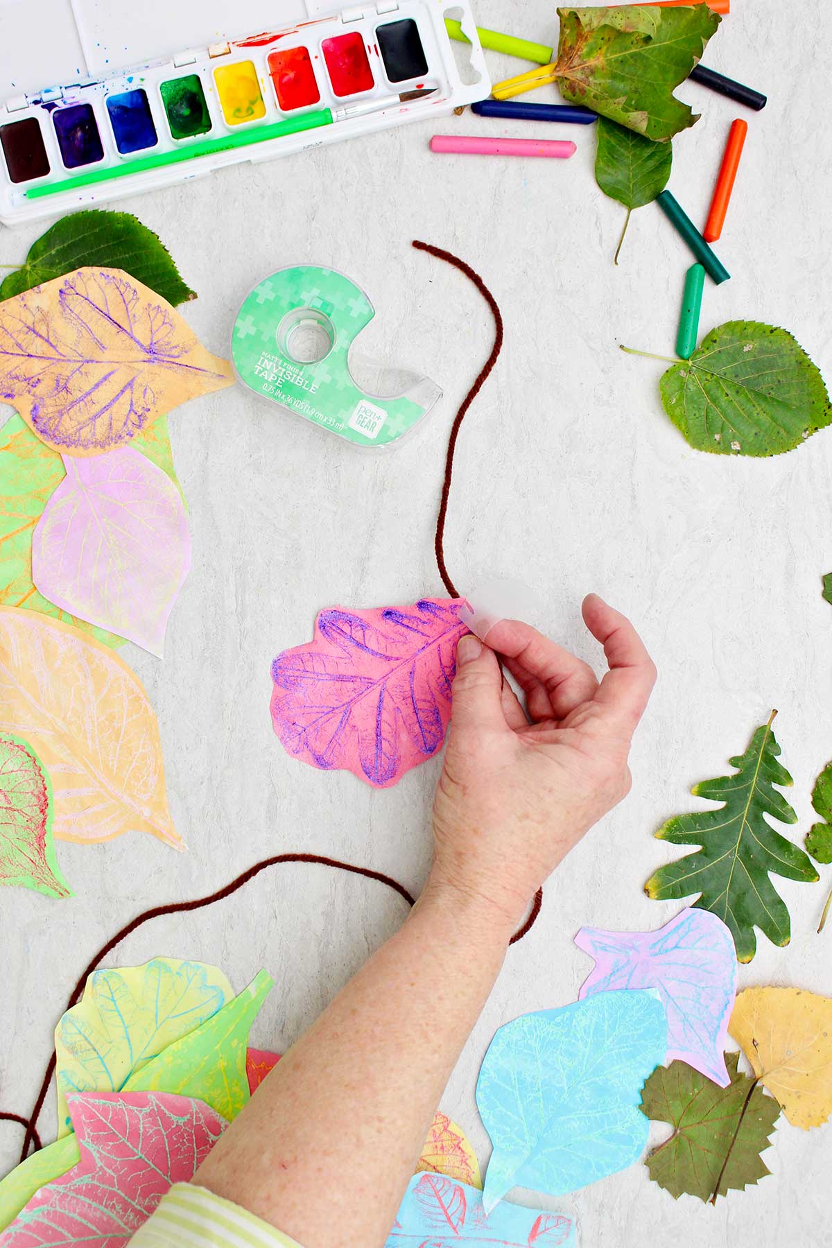 A person securing a red and purple leaf rubbing on a piece of yarn with tape with other leaf rubbings scattered around.