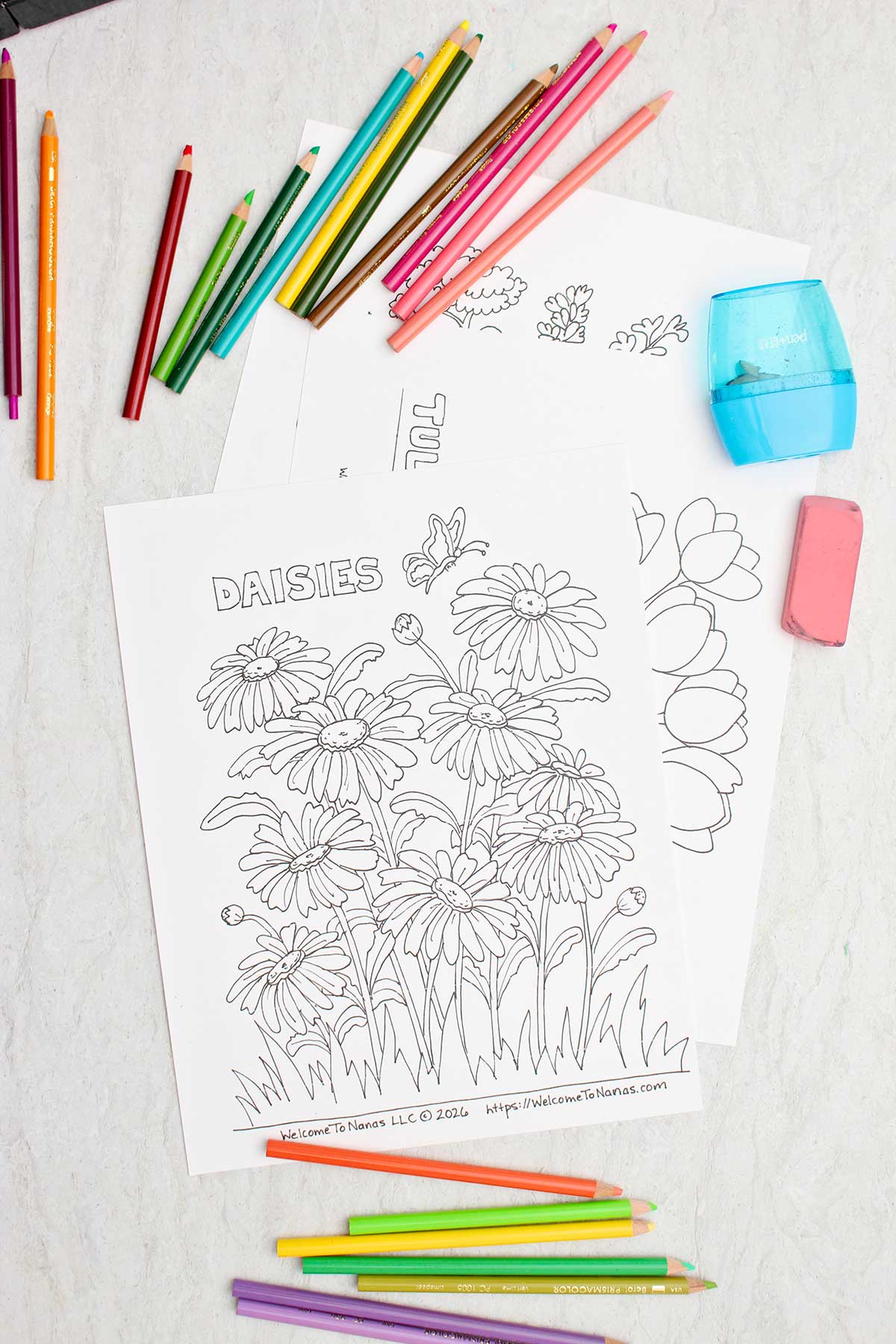 Uncolored coloring pages with colored pencils, a sharpener and pink eraser near by.