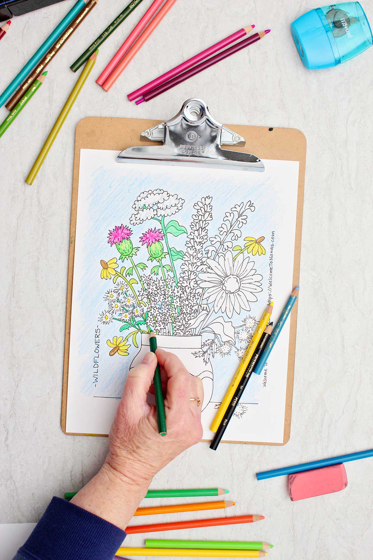 Person coloring stems green in the coloring page of a bunch of wild flowers in a vase.