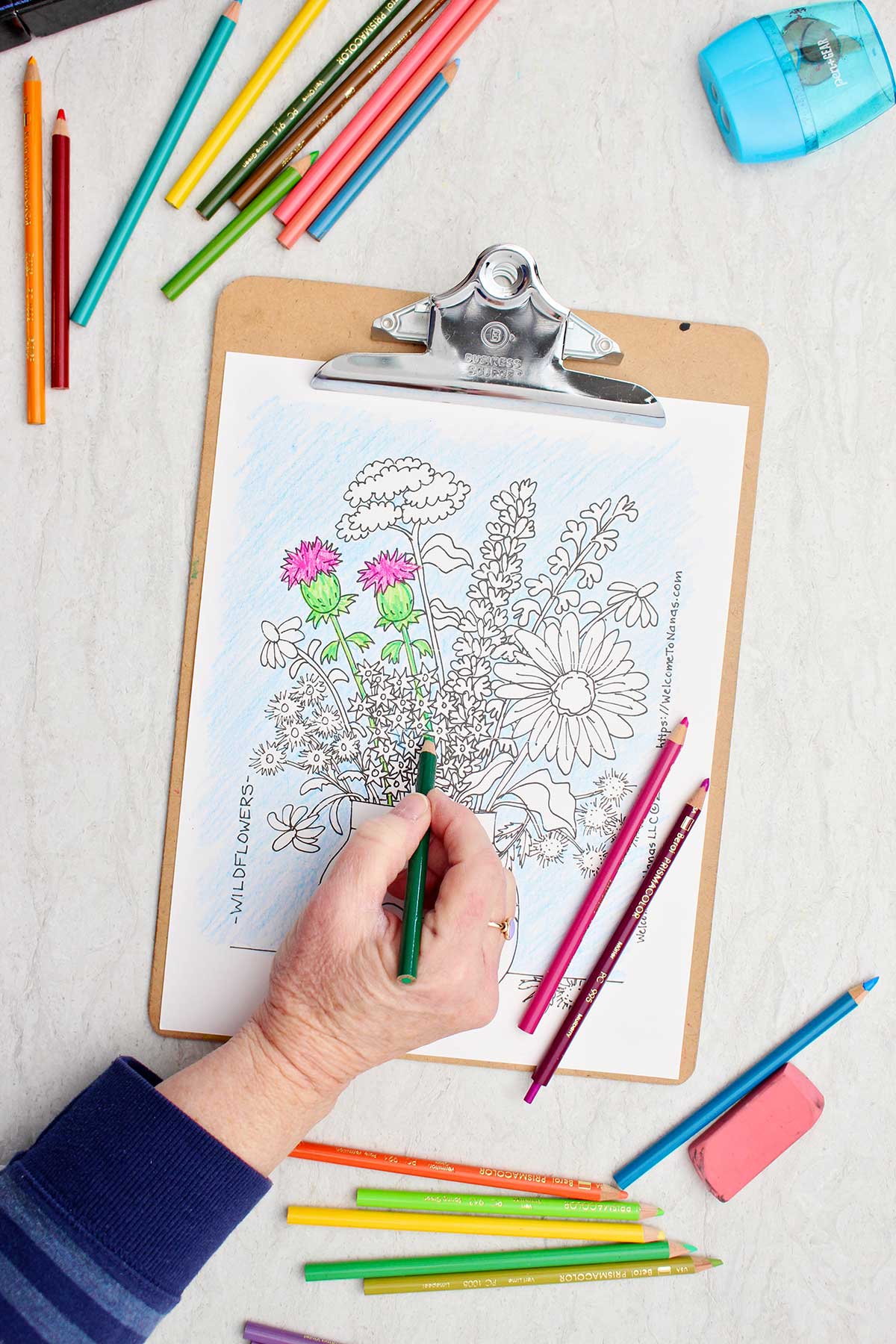 Person coloring a stems green in the coloring page of a bunch of wild flowers in a vase.