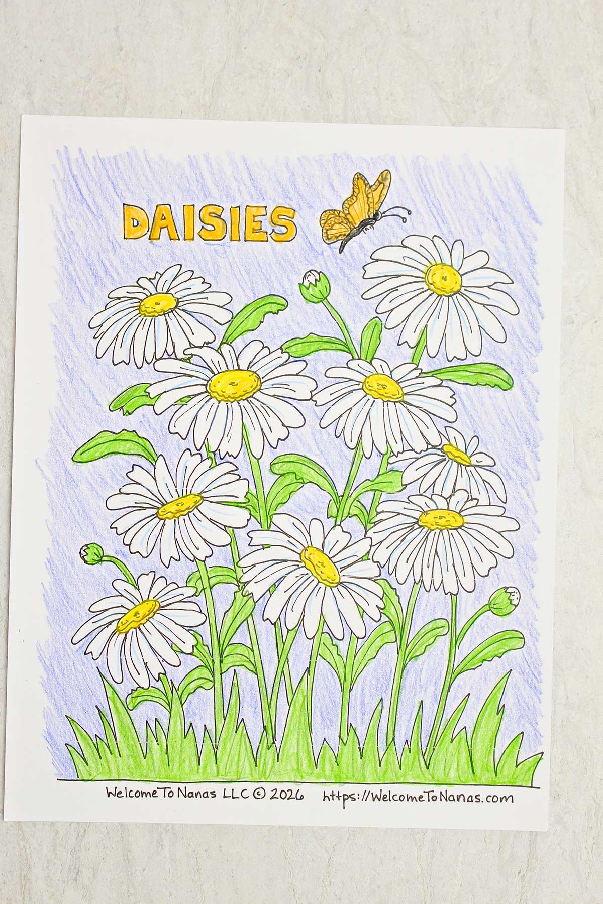 A completed coloring page of a field of wild daisies and a yellow butterfly.