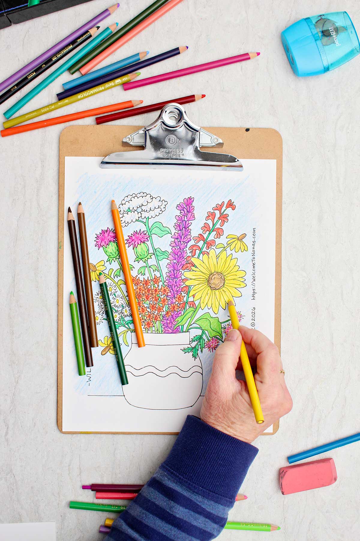 Person coloring a daisy yellow in the coloring page of a bunch of wild flowers in a vase.