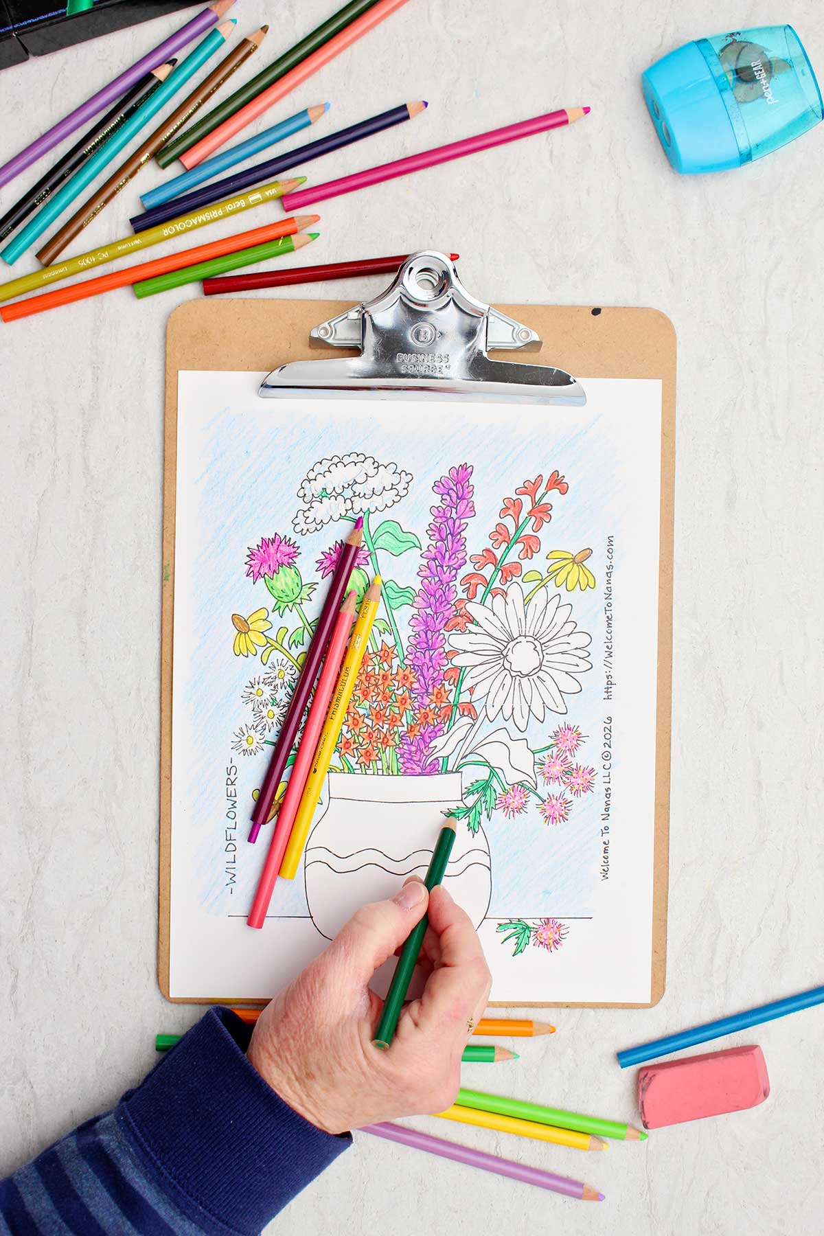 Person coloring a stems green in the coloring page of a bunch of wild flowers in a vase.
