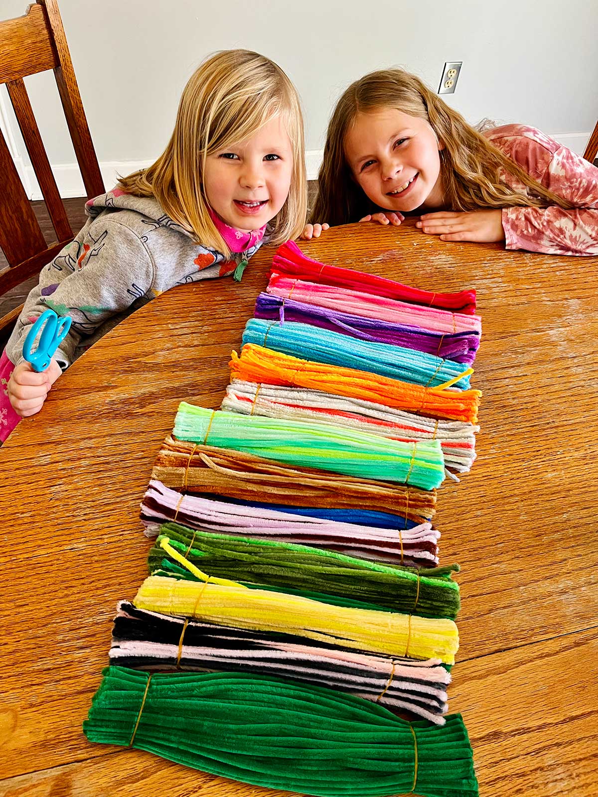 Two young girls at a kitchen table with a variety of colored pipe cleaners in a row.